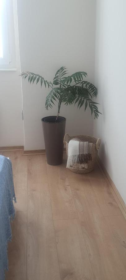 Apartman Taca Subotica Exterior foto